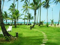 Garden of the Hotel CASA COSON - Las Terrenas - Dominican Republic